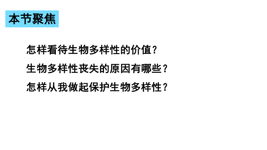 4.2 生物多样性及其保护 课件29张2020-2021学年人教版（2019）高二生物选择性必修二