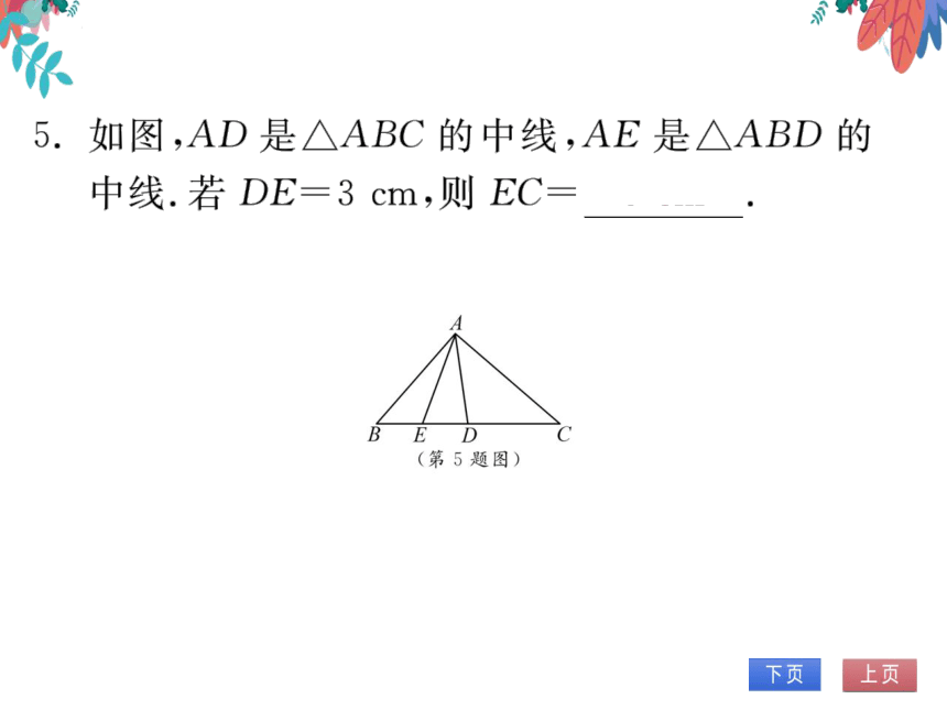 11.1.2三角形的高、中线与角平分线11.1.3三角形的稳定性　习题课件