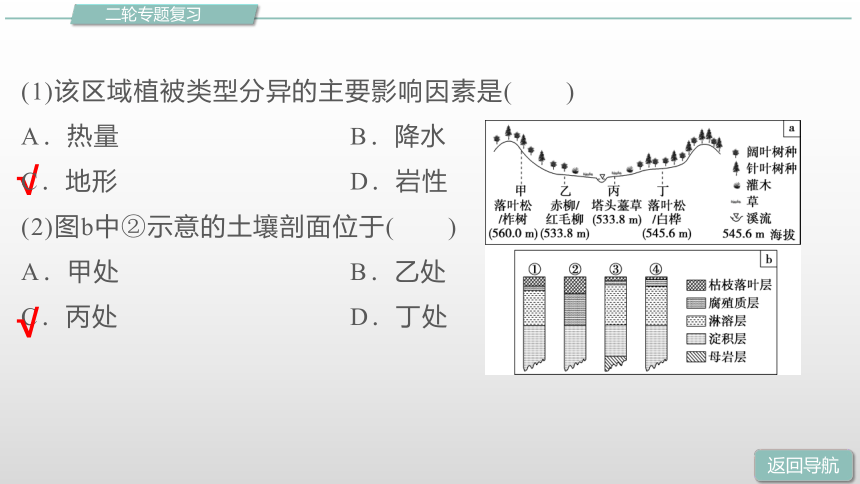 高中地理第二轮复习整体性与差异性规律复习课件（共78张PPT）