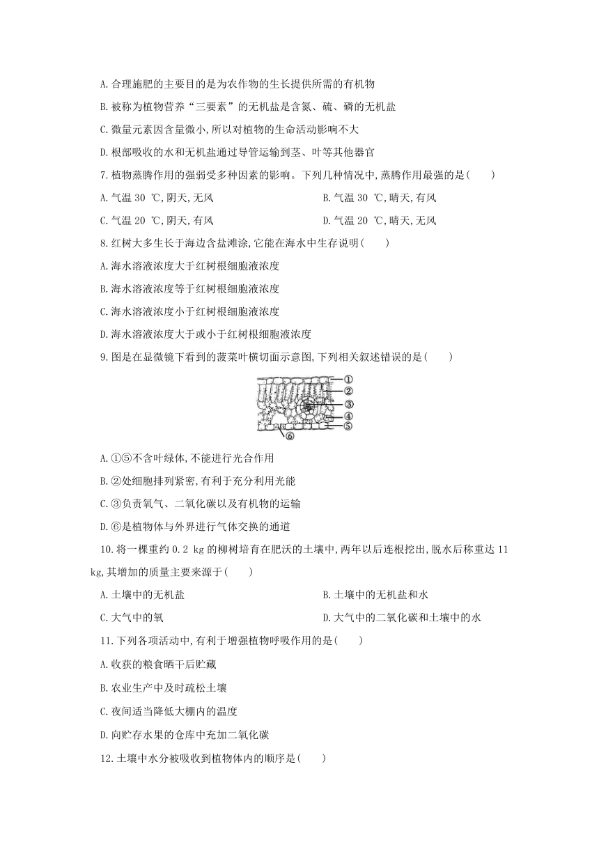 第4章  植物的物质和能量的转化 自我综合评价  单元测试（有答案）