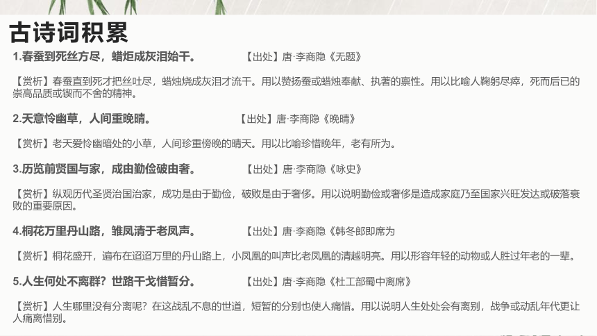 古诗词诵读 锦瑟 培养正确爱情观 课件(共16张PPT)