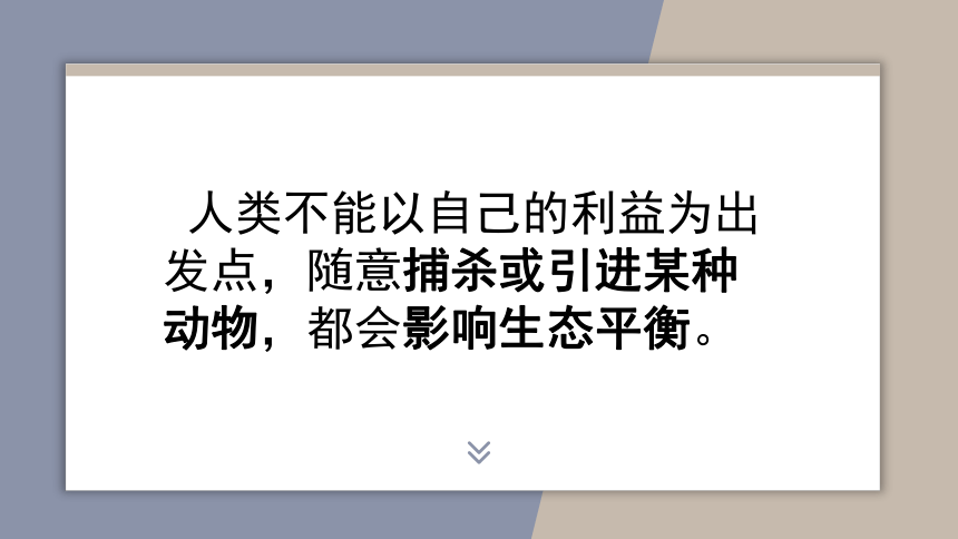 7.3.1动物在自然界中的作用课件(共20张PPT)2022--2023学年鲁科版生物八年级上册