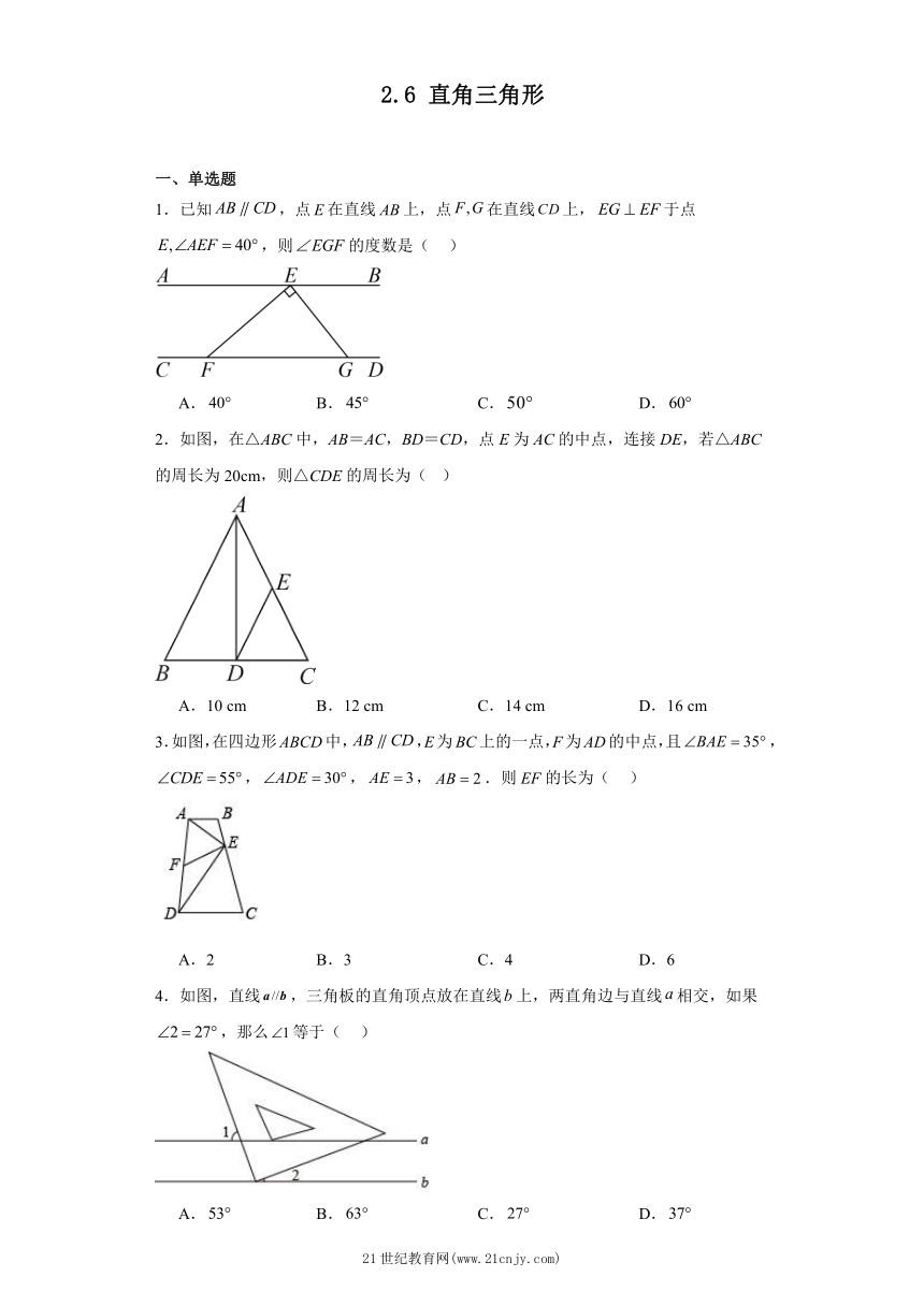 2.6 直角三角形  同步练习（含解析）
