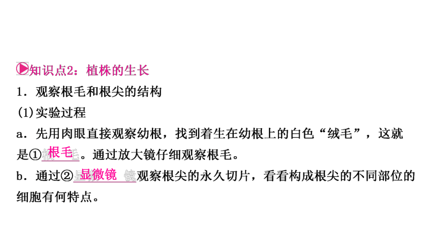 2023年人教版七年级生物上册复习专题★★第二章　被子植物的一生 课件