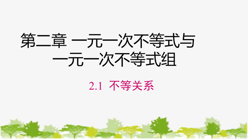 北师大版数学八年级下册 2.1  不等关系 课件 (共16张PPT)