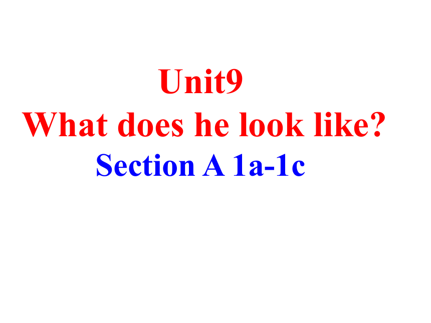 人教版七年级下册 Unit9 What does he look like？ SectionA 1a-1c 课件(共24张PPT)