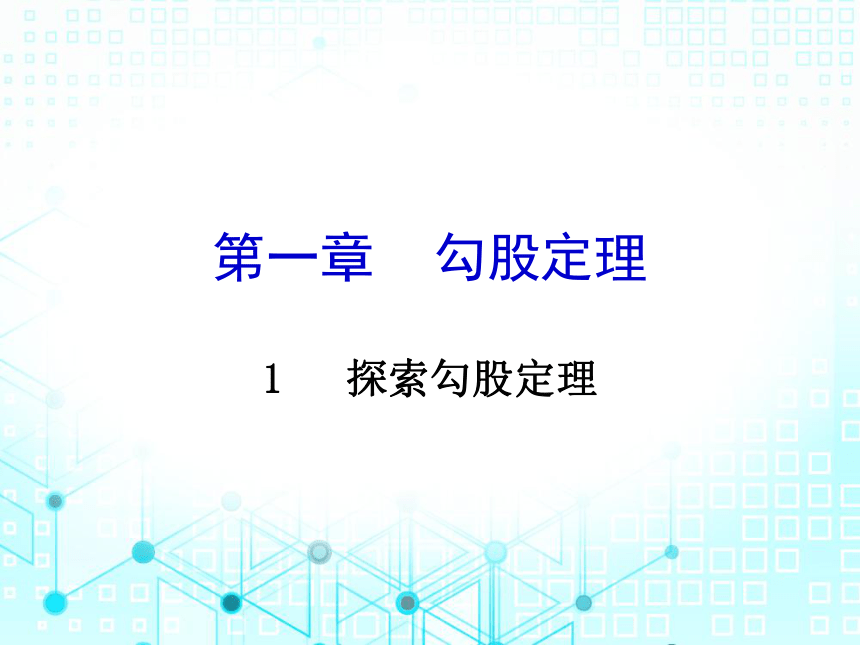 北师大版数学八年级上册 1. 1   探索勾股定理练习课件（共23张PPT）