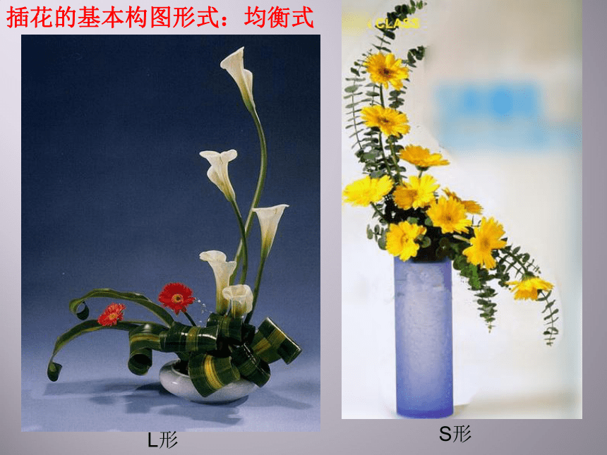 6.插花艺术（课件） 美术六年级下册（20ppt）