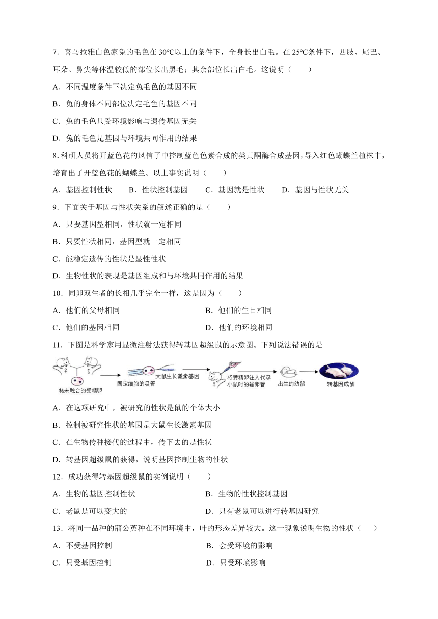 2021-2022学年人教版生物八年级下册7.2.1基因控制生物的性状练习 （word版 含答案）