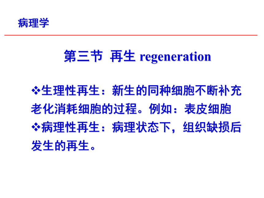 第1章 细胞和组织的适应、损伤与修复3 课件(共27张PPT)-《病理学·第4版》同步教学（科学出版社）