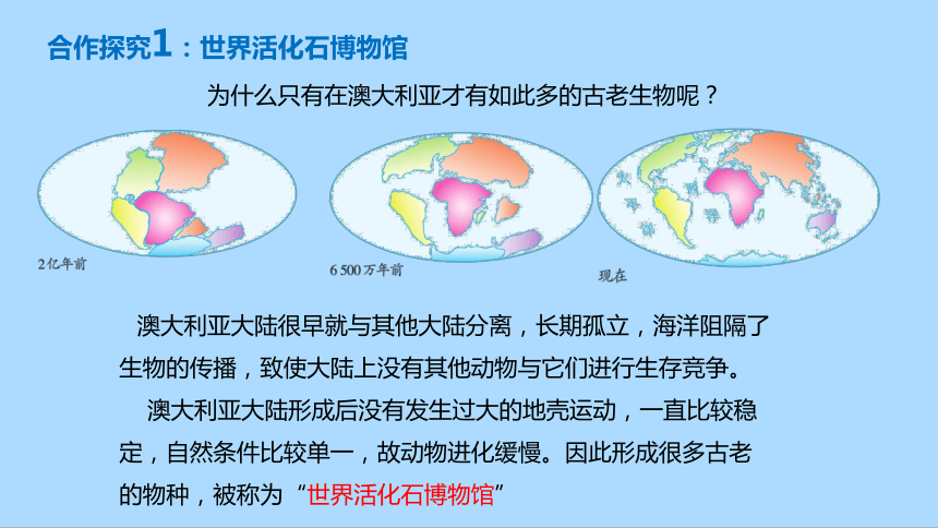 人教版地理七年级下册8.4澳大利亚课件(共31张PPT)