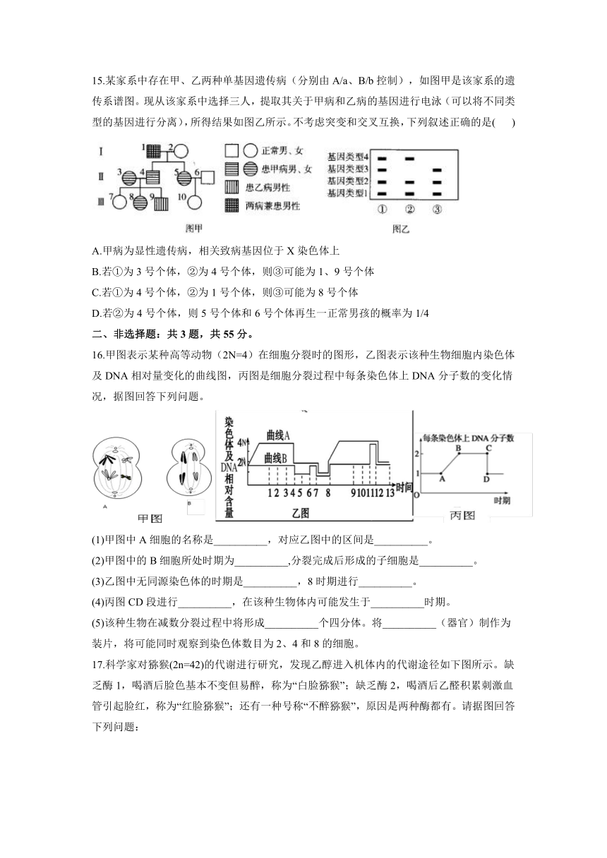 第1章 遗传的细胞基础 B卷 能力提升单元测试2021-2022学年高一下学期生物苏教版必修2（含答案解析）