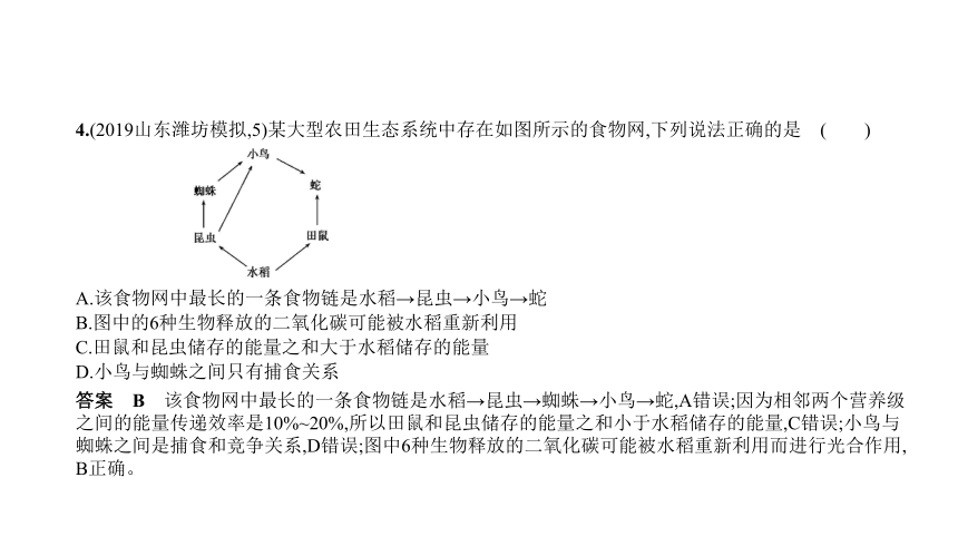 2023年中考生物复习专题★★　综合部分