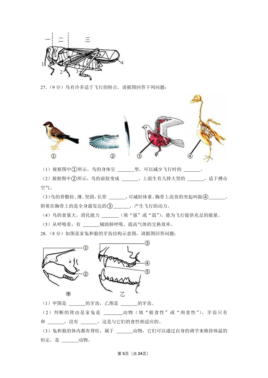 内蒙古通辽市奈曼旗新镇中学2021-2022学年八年级上学期第一次月考生物试卷（word版含解析）