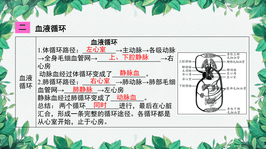 2023年中考生物复习 课题二 人体内物质的运输课件(共36张PPT)