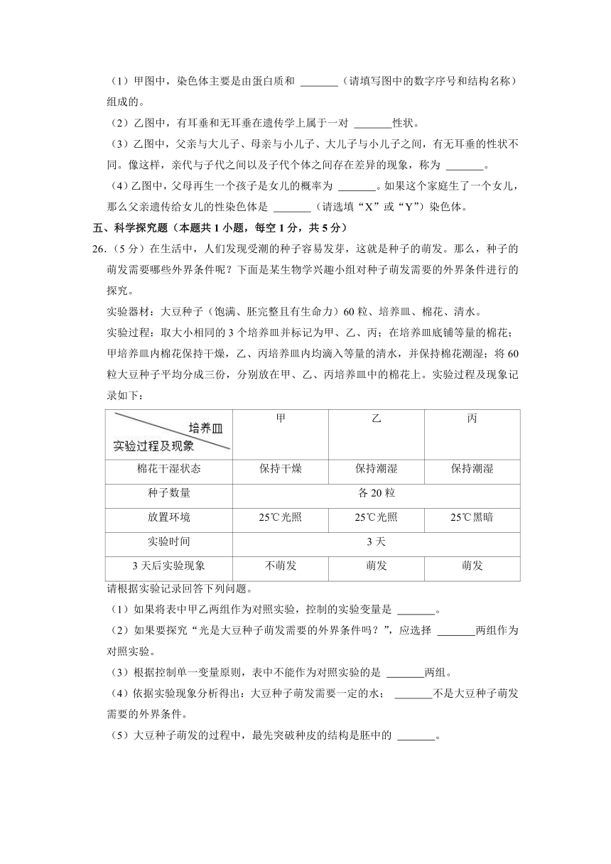 2022年辽宁省沈阳市中考生物试卷（word版，含解析）