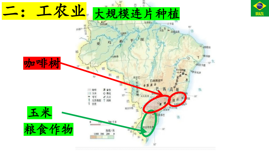 9.2巴西第二课时课件(共30张PPT)2022-2023学年人教版地理七年级下册