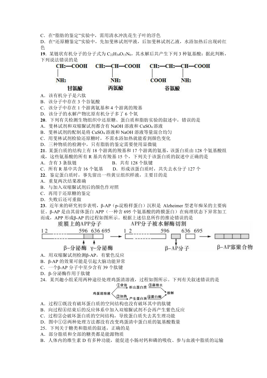 内蒙古自治区赤峰市赤峰学院附属高级中学2021-2022学年高一上学期期中考试生物试卷（Word版含答案）