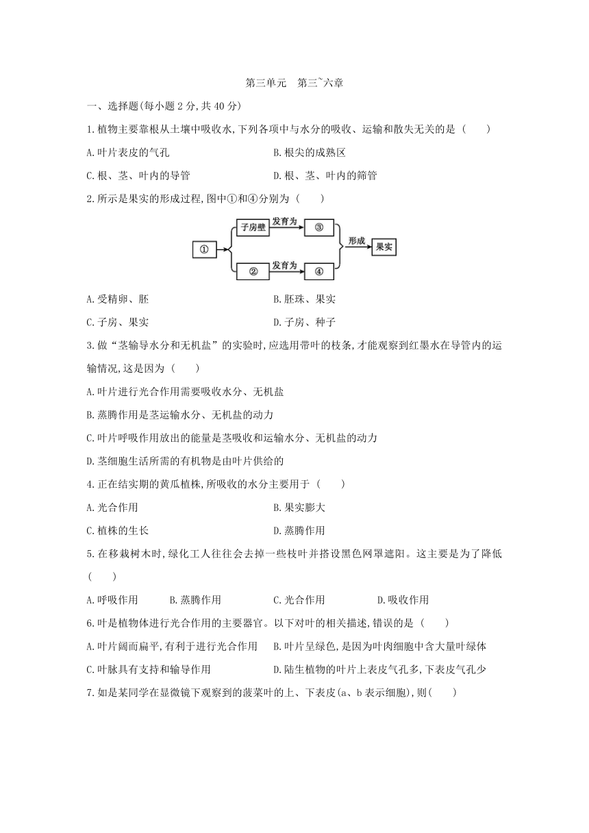 人教版生物学七年级上册同步练习：第三单元　第三~六章  单元综合测试(word版含答案）