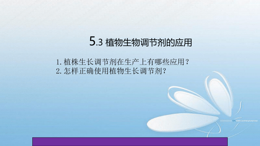 2021-2022学年高二上学期生物人教版(2019)选择性必修1.5.3 植物生物调节剂的应用课件1(33张ppt）