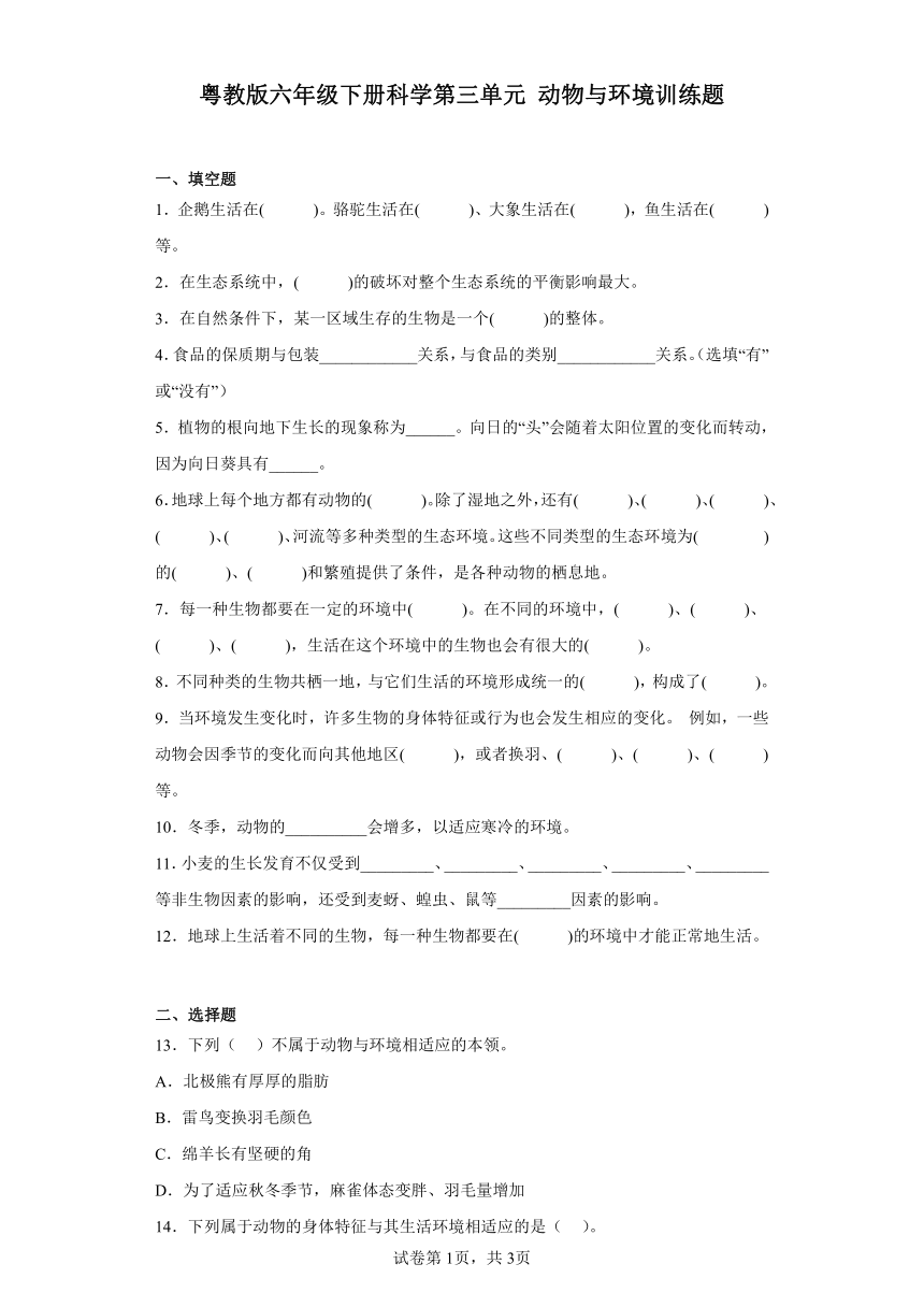 粤教版六年级下册科学第三单元动物与环境训练题（含答案）