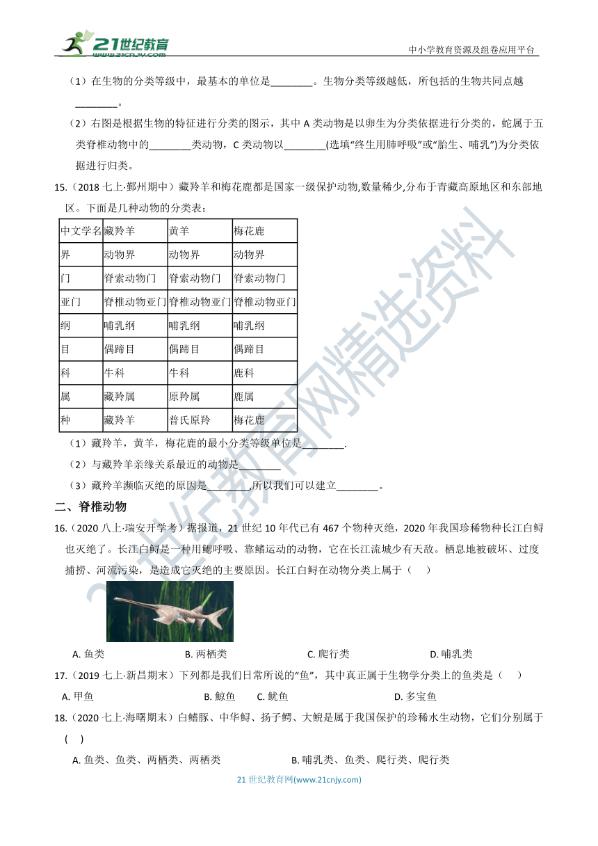 【7年级上册同步重难点集训】07 第二章 4节   常见的动物（含答案）