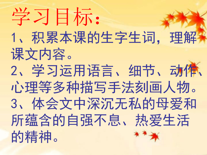 人教部编版语文七年级上册5《秋天的怀念》课件（幻灯片26张）