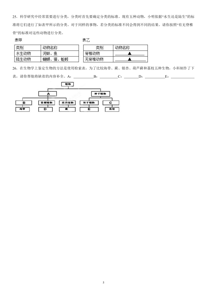 第2章 生物的主要类群  单元测试（有答案）