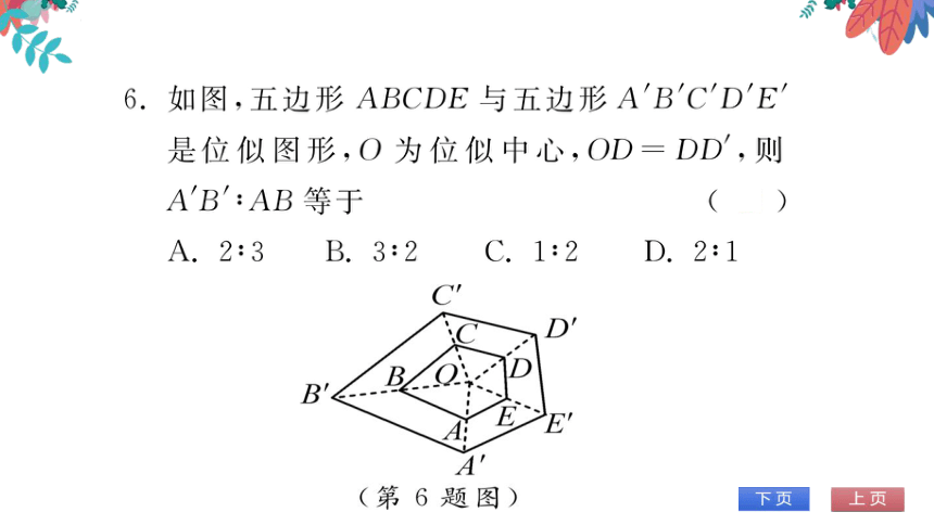 【华师大版】数学九年级上册 23.5位似图形 习题课件