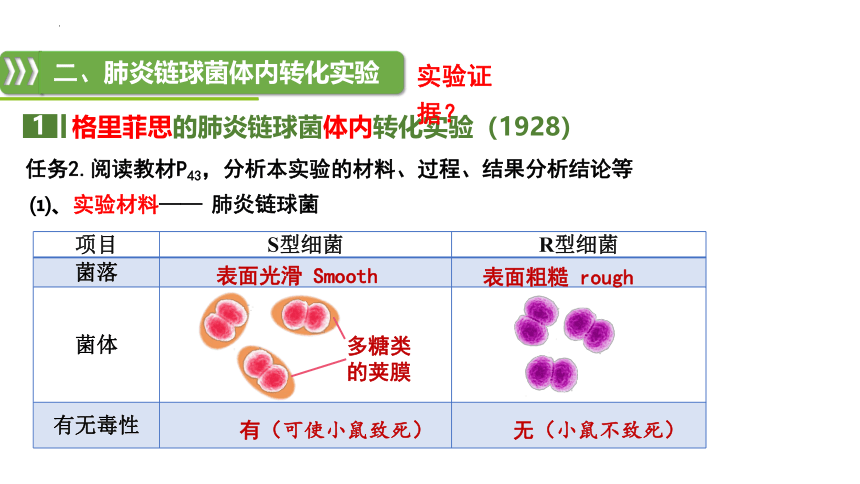 生物人教版（2019）必修2 3.1DNA是主要的遗传物质（共30张ppt）课件
