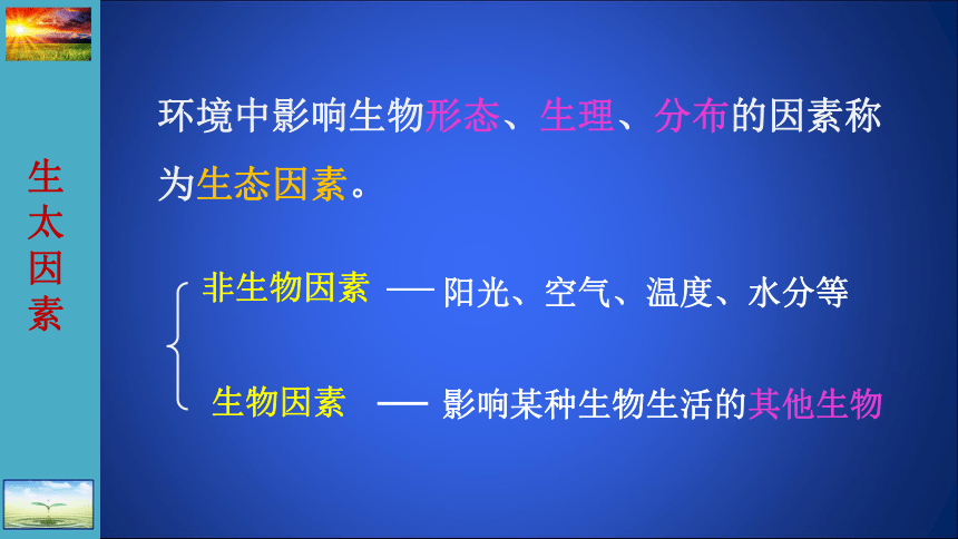 北师大版生物八年级下册8.23.1生物的生存依赖一定的环境 课件 (28张PPT)