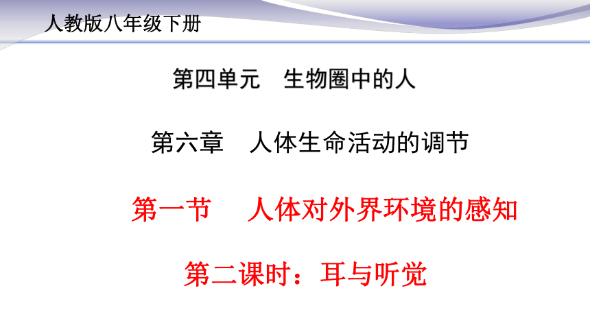 2020-2021学年人教版七年级生物下册4.6.1 人体对外界环境的感知 2 课件（18张PPT）