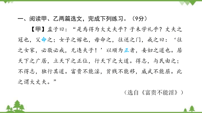 九年级下册第三单元主题阅读 习题课件(共21张PPT)