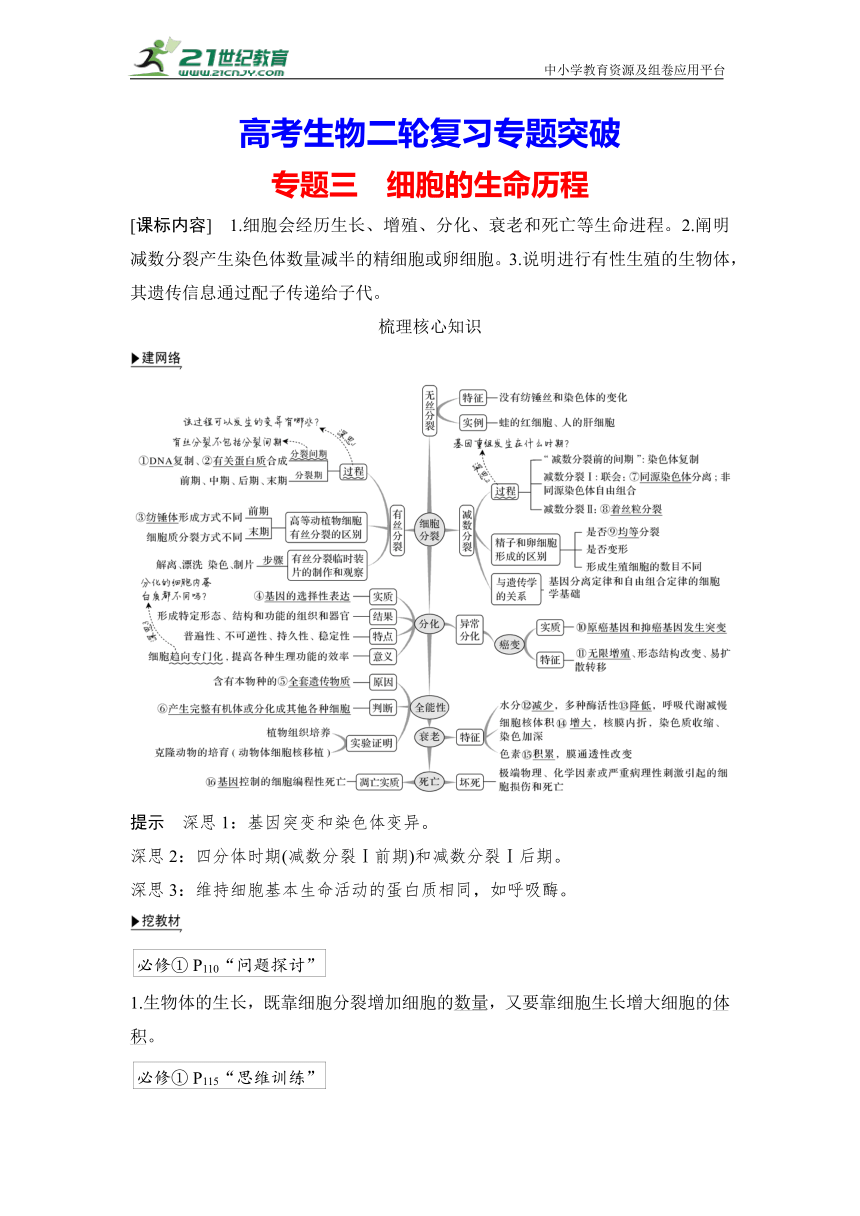 【高考生物二轮复习专题突破学案】专题3 细胞的生命历程（含答案）