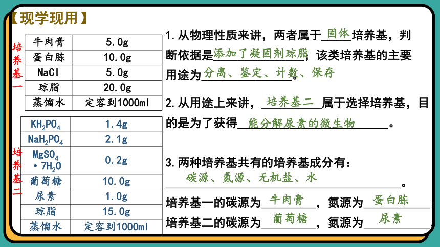 1.2.2微生物的选择培养和计数（第二课时）(共27张PPT)课件-人教版选择性必修三