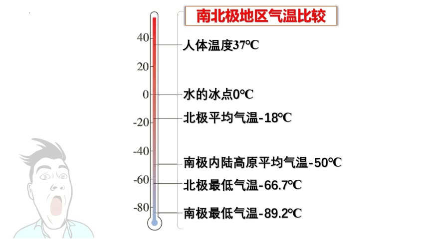 6.5极地地区-八年级地理下册同步精品课件（中图版）(共87张PPT)