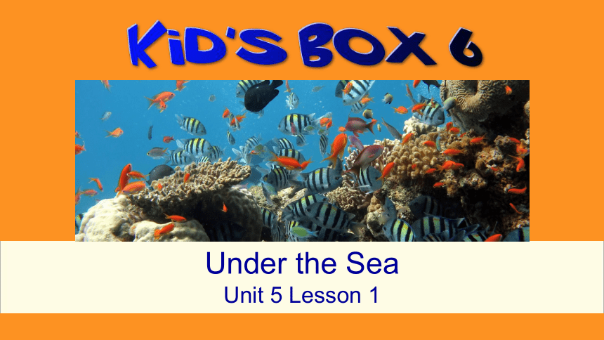 剑桥国际少儿英语 kid‘s box 第六册 unit5  Under the Sea 课件（共27张ppt）