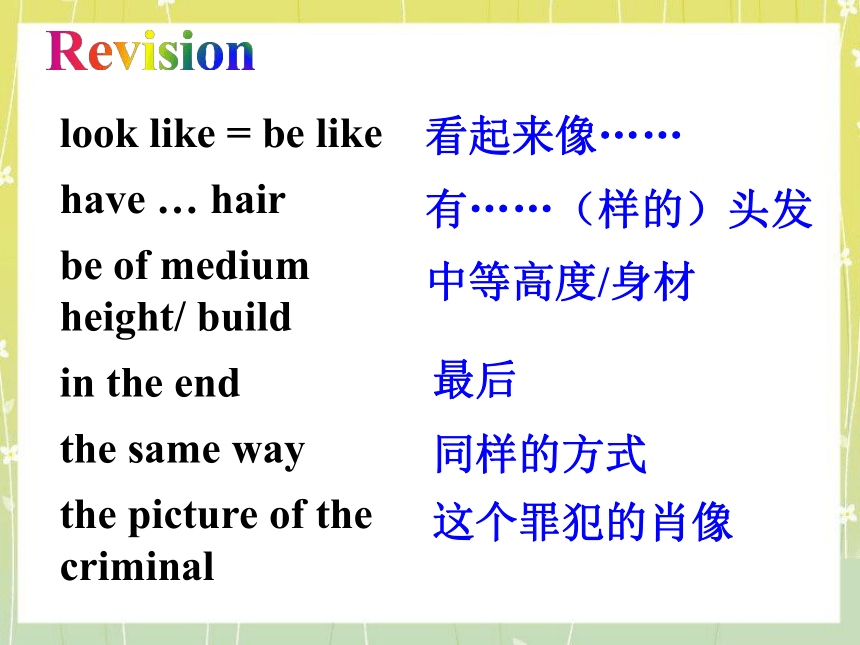 Unit 9 What does he look like Section B Self Check 课件(共31张PPT)