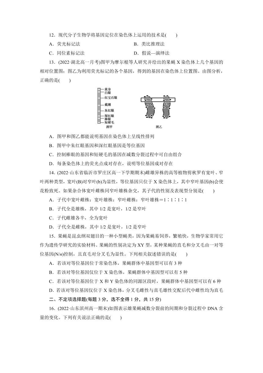 人教版生物必修2第二章 基因和染色体的关系检测题（有解析）