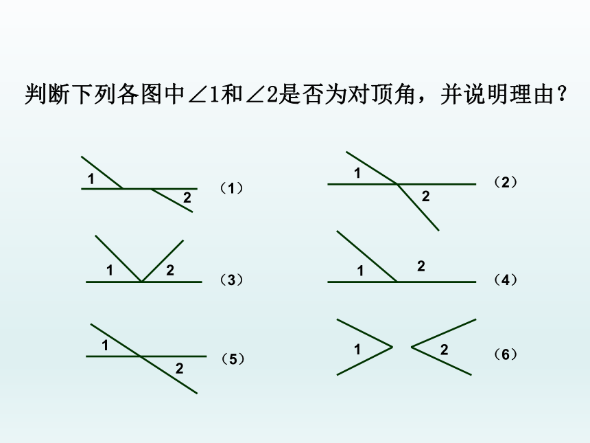 沪科版数学七年级下册 10.1相交线  课件(共14张PPT)