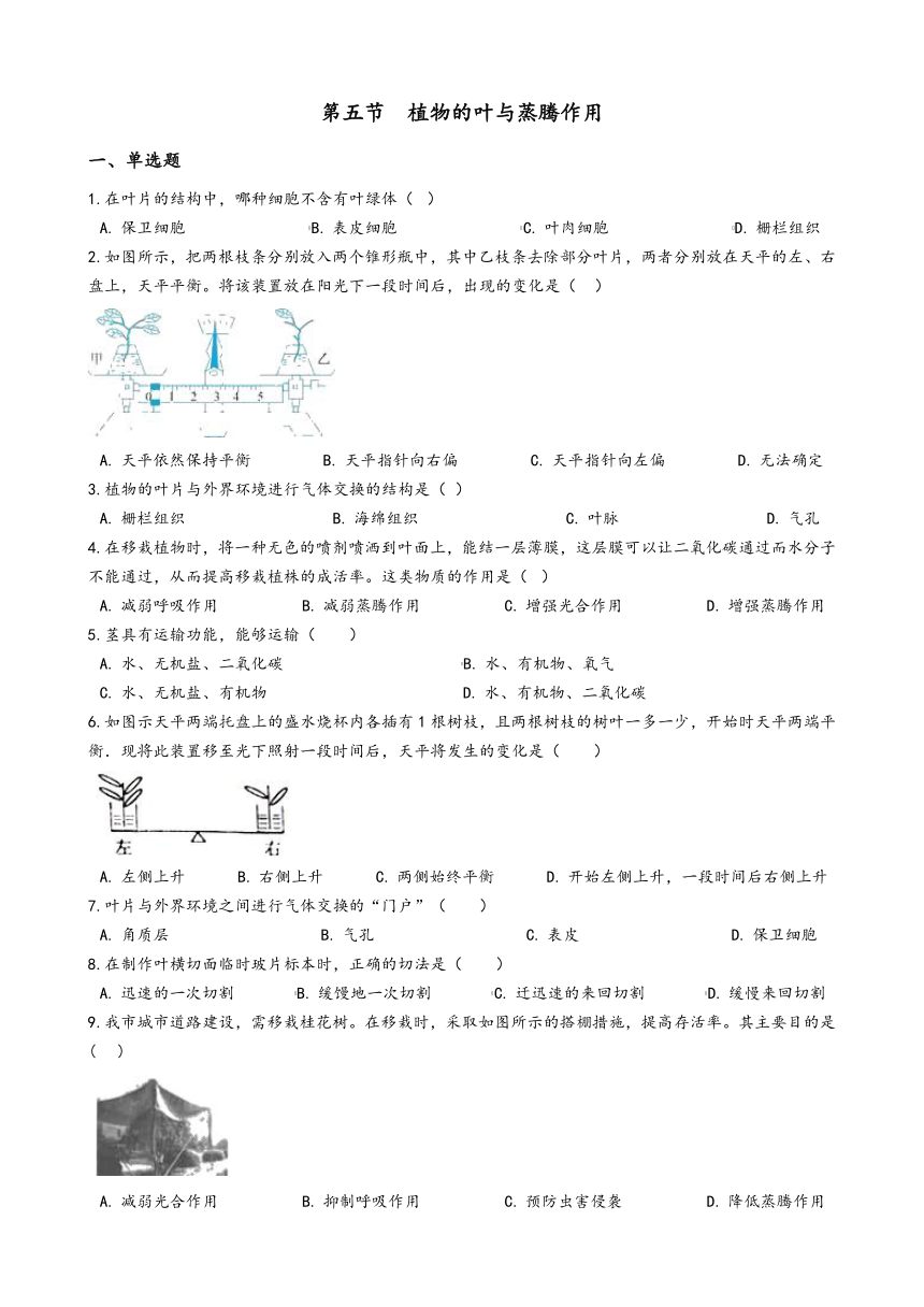 4.5 植物的叶与蒸腾作用 同步练习（word版，含答案）