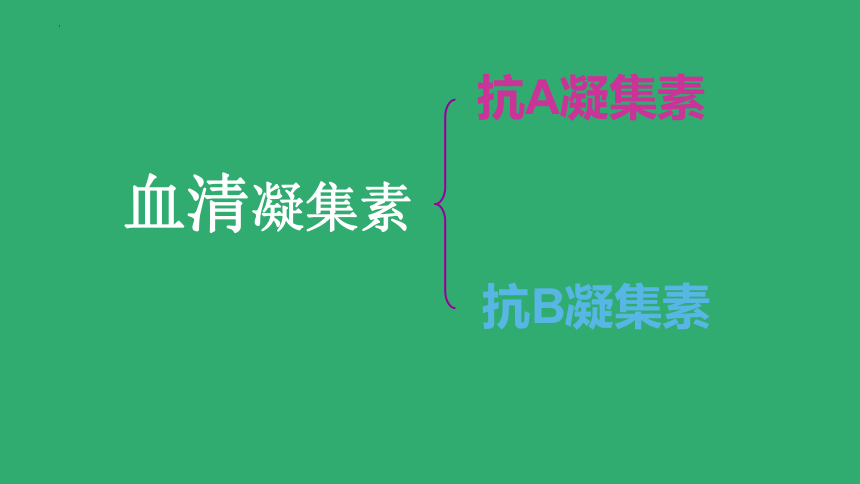 2021--2022学年人教版生物七年级下册4.4.4输血与血型课件(共21张PPT)