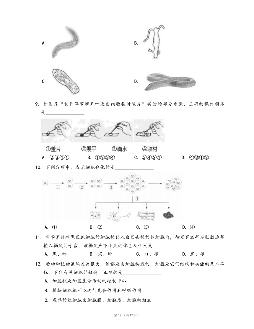人教版七年级上册生物第二单元 生物体的结构层次（word版含部分解析）