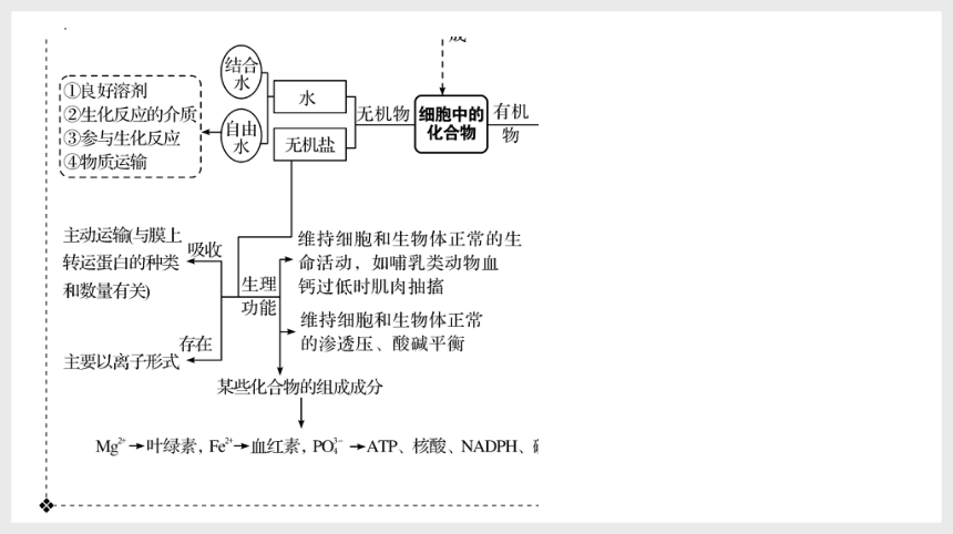 2024届高三二轮复习生物：生命的细胞基础（共34张ppt）