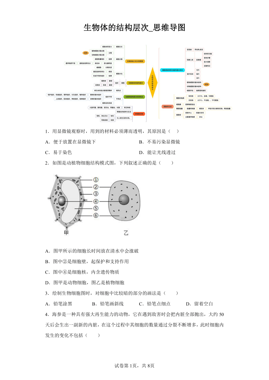 2.生物体的结构层次_思维导图（含答案）