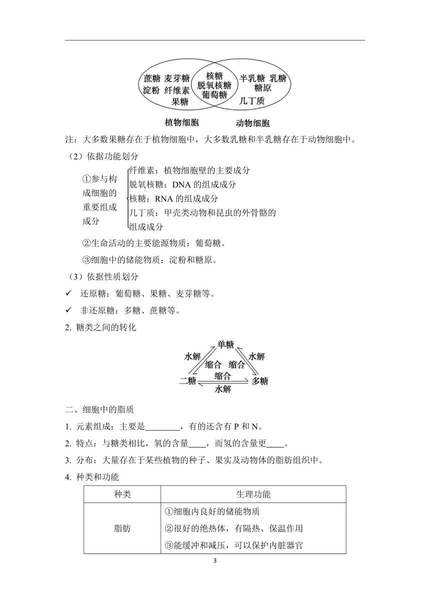 第2章 组成细胞的分子（1）细胞中的糖类、脂质和蛋白质学案（含解析）—2023-2024学年初升高生物学人教版（2019）精准链接