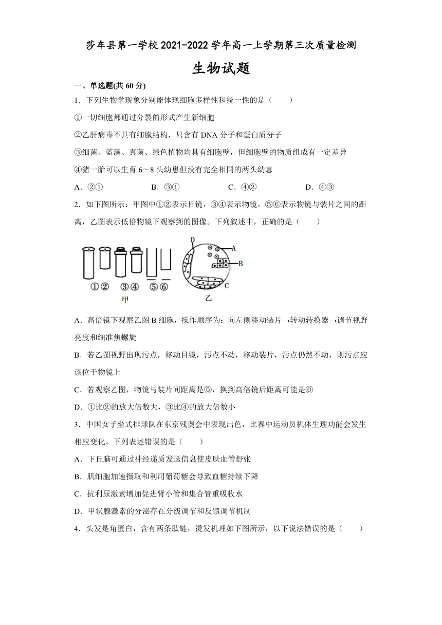 新疆维吾尔自治区喀什地区莎车县第一学校2021-2022学年高一上学期第三次质量检测生物试题（Word版含答案）