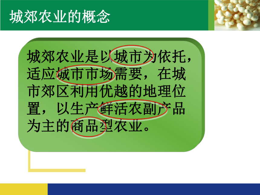 中图版（上海用） 第二册  专题22 农业区位与农业地域类型  城郊农业  课件（20张PPT）