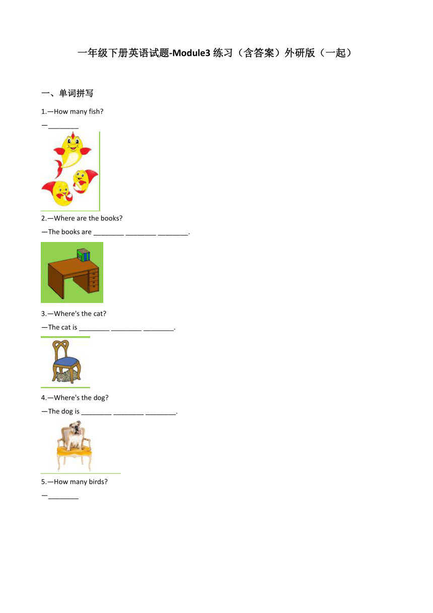 外研版（一年级起点）一年级下册英语试题Module3练习（含答案）