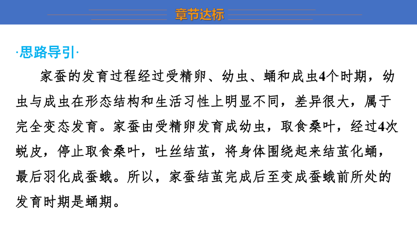 第七单元 生物圈中生命的延续和发展 复习课件(共34张PPT) 2023-2024学年 初中生物人教版八年级下册